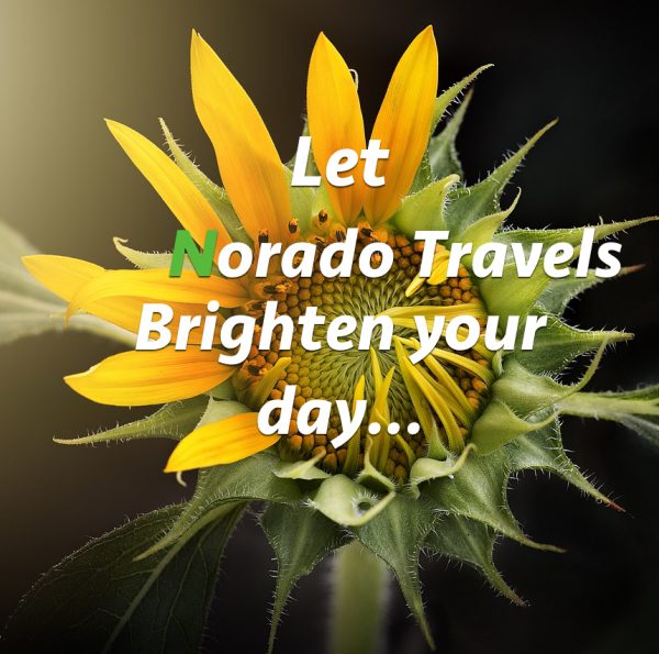 Let Norado Travels brighten your day